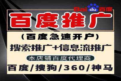竞价推广公司案例分析：成功案例解析